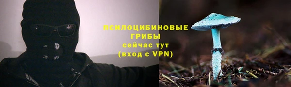 МДПВ Алзамай