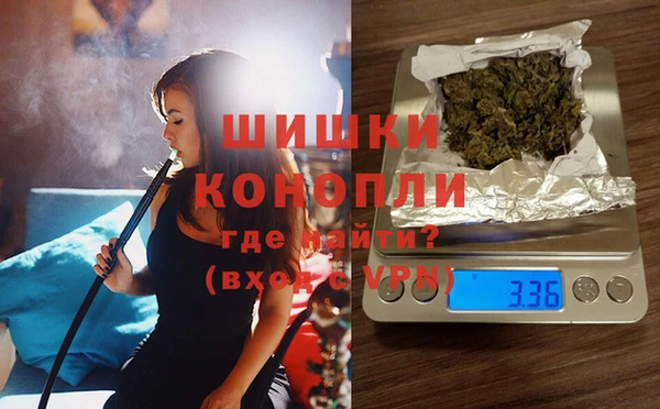 шишки Билибино