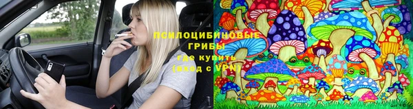 дмт Бикин