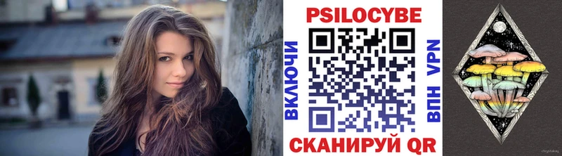 Галлюциногенные грибы Psilocybe  Юрьевец 